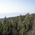 Blick über den Zürichsee