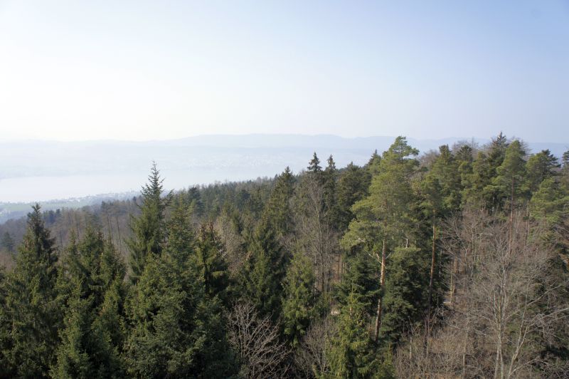 Blick über den Zürichsee