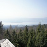 Blick über den Zürichsee