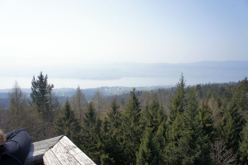 Blick über den Zürichsee