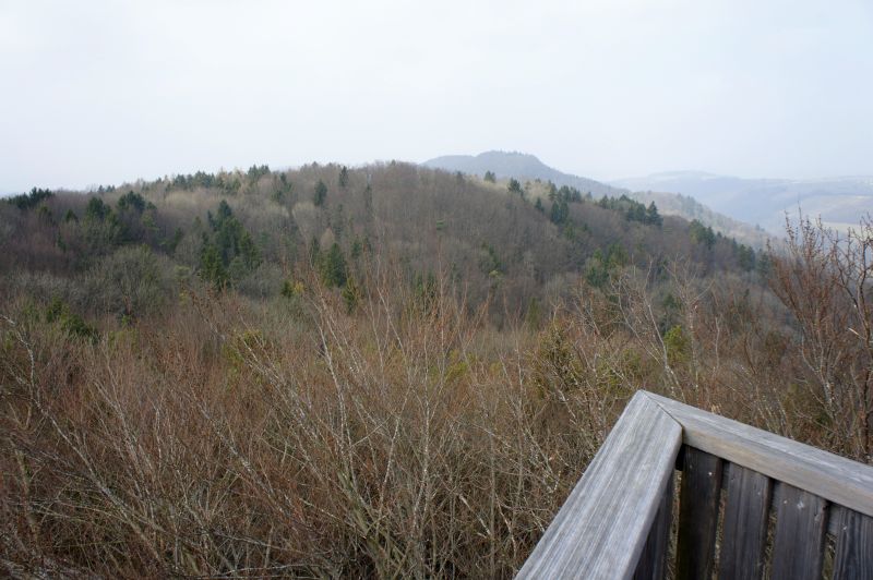 Ausblick vom Petersboden-Turm