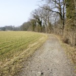 Dem Rhein entlang in Richtung Eglisau