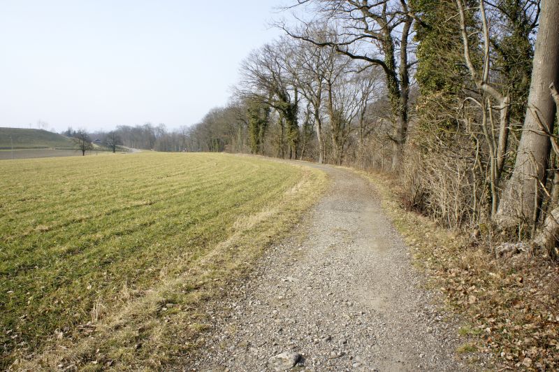 Dem Rhein entlang in Richtung Eglisau