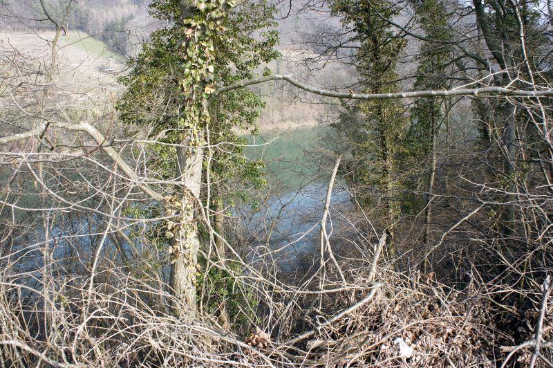 Blick auf den gestauten Rhein