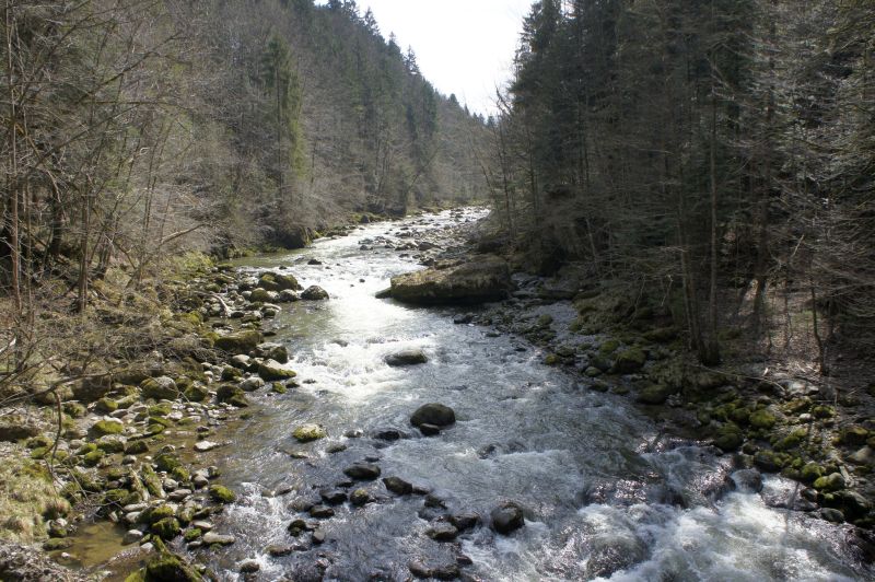 Die wilde Seite der Sihl