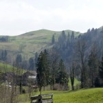 Typische Landschaft. Hügel mit einem einzigen Baum.