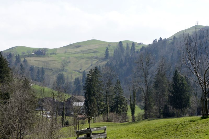 Typische Landschaft. Hügel mit einem einzigen Baum.