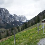 Einsame Alp
