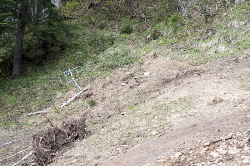 Der Winter hat Spuren hinterlassen