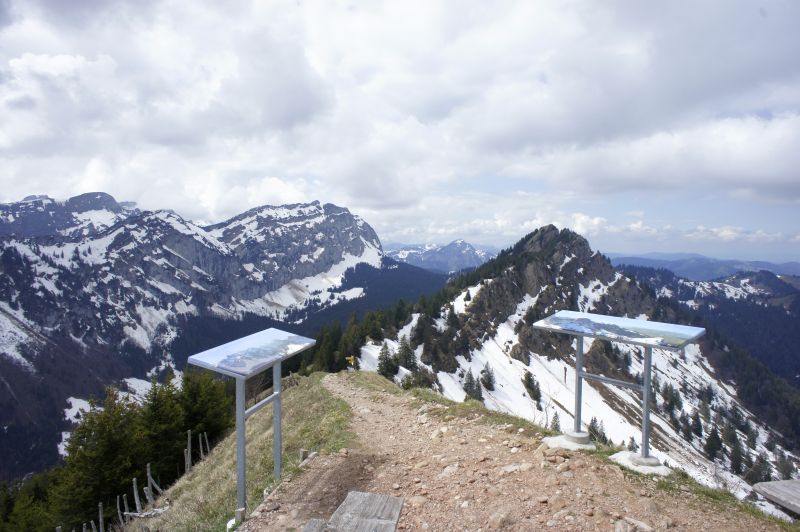 Auf dem Gipfel des Hirzli