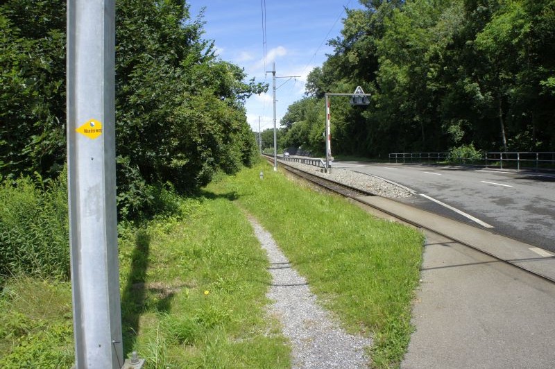 Übergang Dietikon-Bremgarten-Bahn