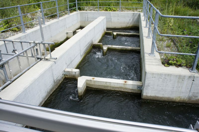 Fischtreppe