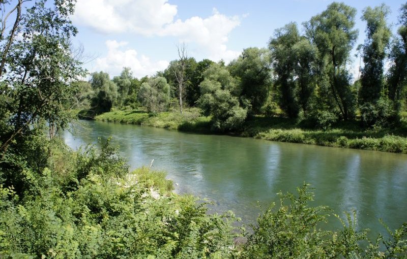 In den Aare-Auen zwischen Aarau und Wildegg