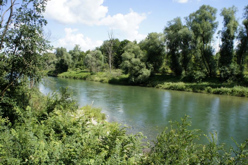 Unterwegs in den Aaare Auen