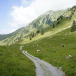 Der lange Weg von Obere Euschels nach Schwarzsee