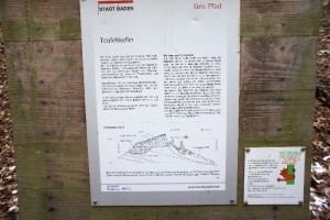 Der Teuefelskeller
