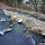 Fischtreppe beim Kraftwerk Wettingen