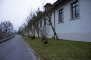 Kloster Wettingen