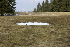 Eine Doline (Karstloch)