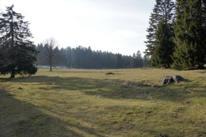Typische Jura-Landschaft