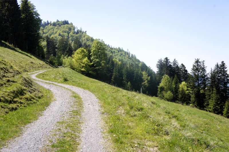 Aufstieg vom Tostel zum Stockberg