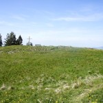 Stockberg: Gipfelkreuz und Fahne