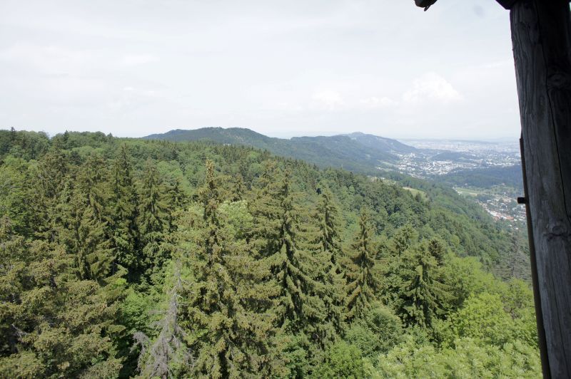 Üetliberg und Albis