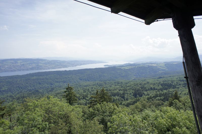 Zürichsee, Pfannenstiel und die Alpen