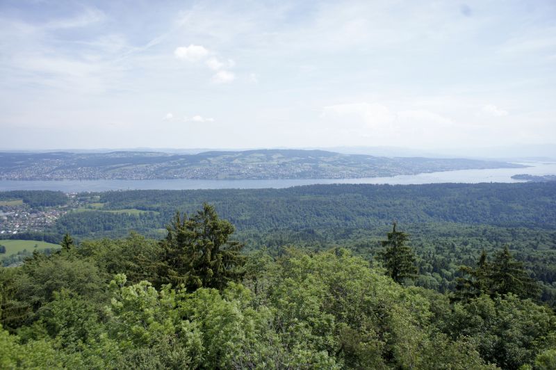 Aussicht über den Zürichsee zum Pfannenstiel