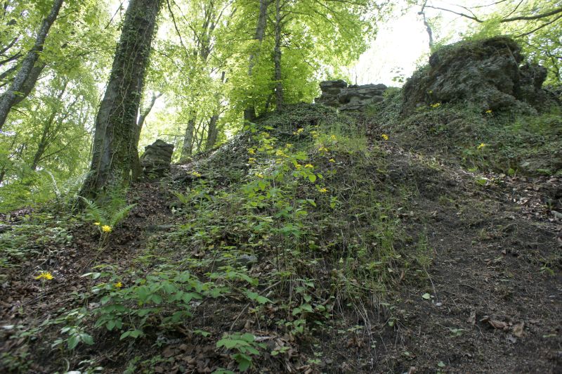 Ruine Schnabelburg