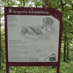 Ruine Schnabelburg