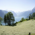 Blick über den Vierwaldstättersee, das Heu duftet