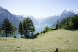 Blick über den Vierwaldstättersee, das Heu duftet