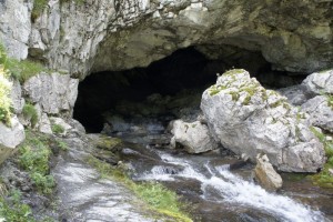 Die Chärpfbrugg - Eine schöne Laune der Natur
