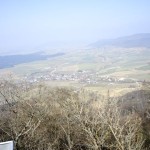 Ausblick vom Schleitheimer Randenturm