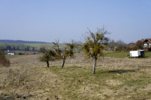 Wanderschluss in Beggingen