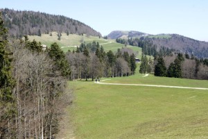 Rückblick Hinter Weissenstein