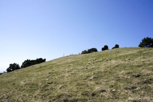 Der Gipfel der Hasenmatt im Blick
