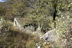 Verfallenes Rustico im Wald