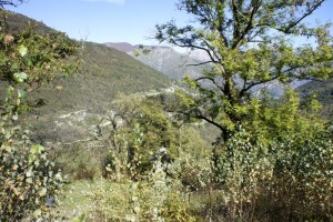 Blick in Richtung Intragna