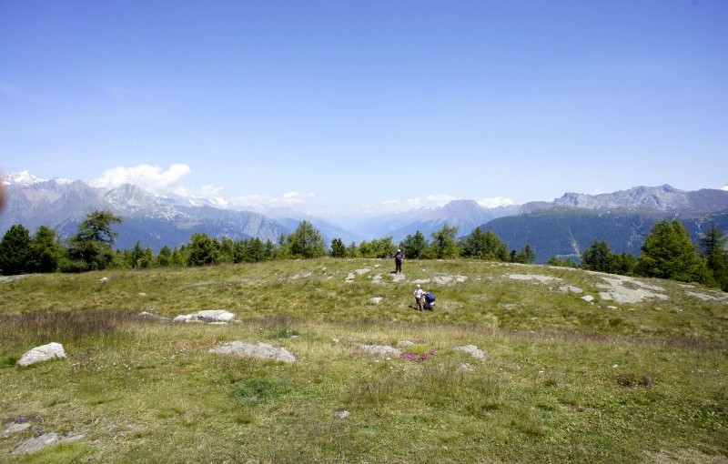 Moosalp: Rundwanderung Stand – Bonigersee – Breitmattensee – Bürchner Alp