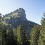 Das Ziel in greifbarer Nähe - der Chli Aubrig