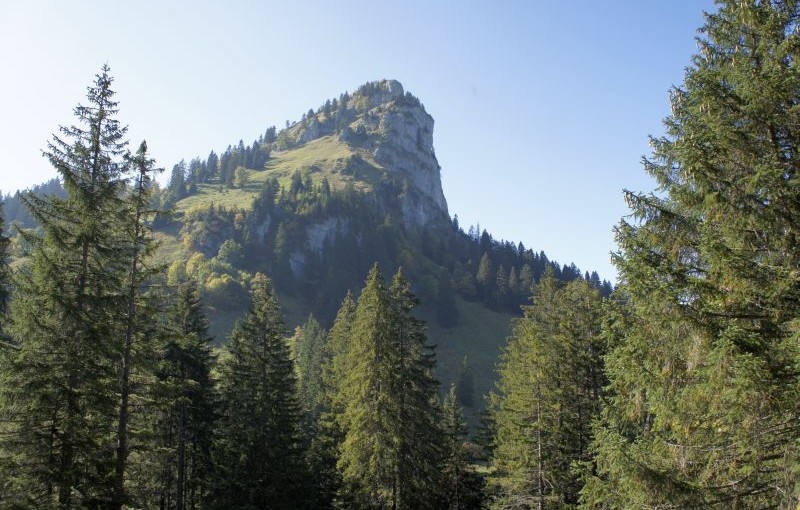 Das Ziel in greifbarer Nähe - der Chli Aubrig