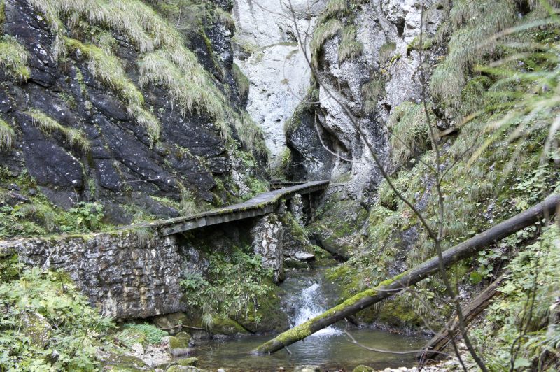 In der Pouetta Raisse