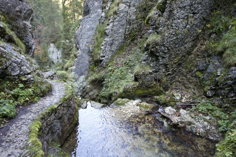 In der Pouetta Raisse