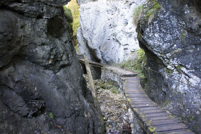 In der Pouetta Raisse