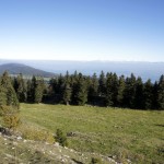 Blick über den Neuenburgesee