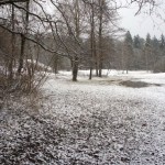 Einsames und stilles Naturschutzgebiet im Winterkleid