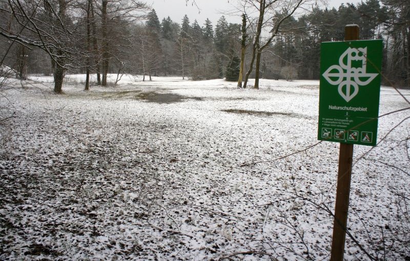 Einsames und stilles Naturschutzgebiet im Winterkleid