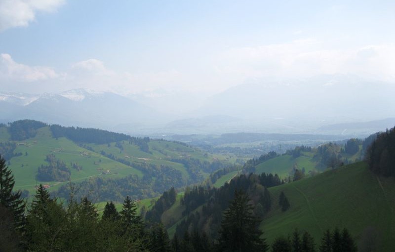 Aussicht in Richtung Linthebene